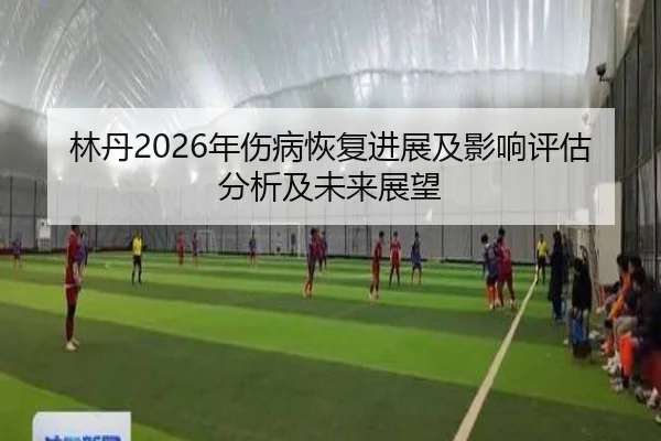 林丹2026年伤病恢复进展及影响评估分析及未来展望