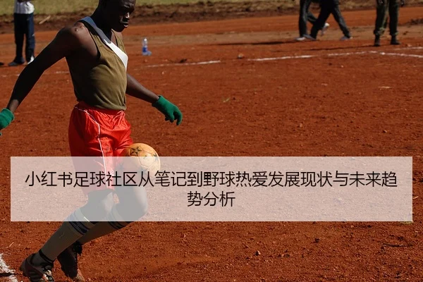小红书足球社区从笔记到野球热爱发展现状与未来趋势分析